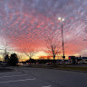 Meet your Posher, Autumn